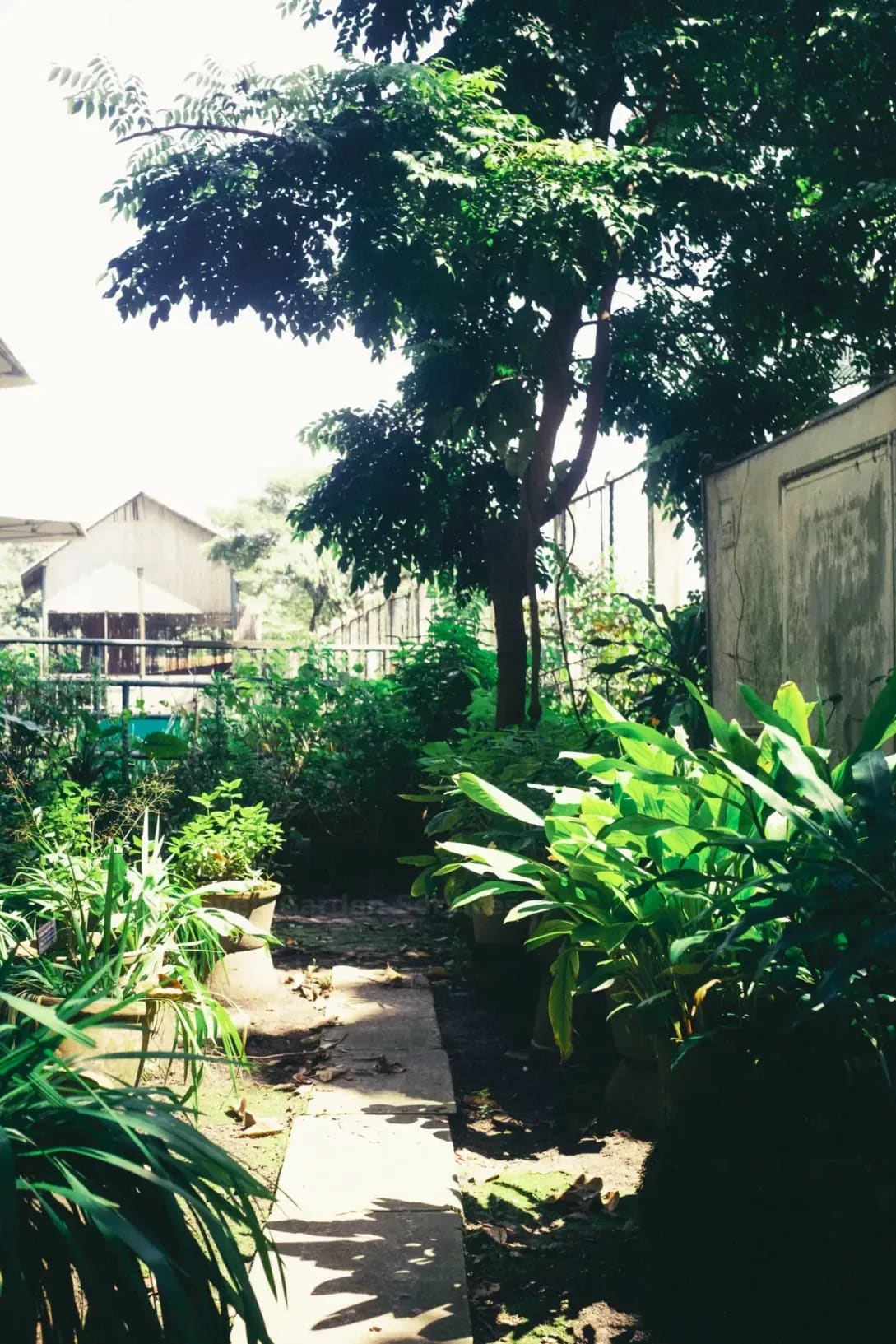 Greenhaven Garden Services 1